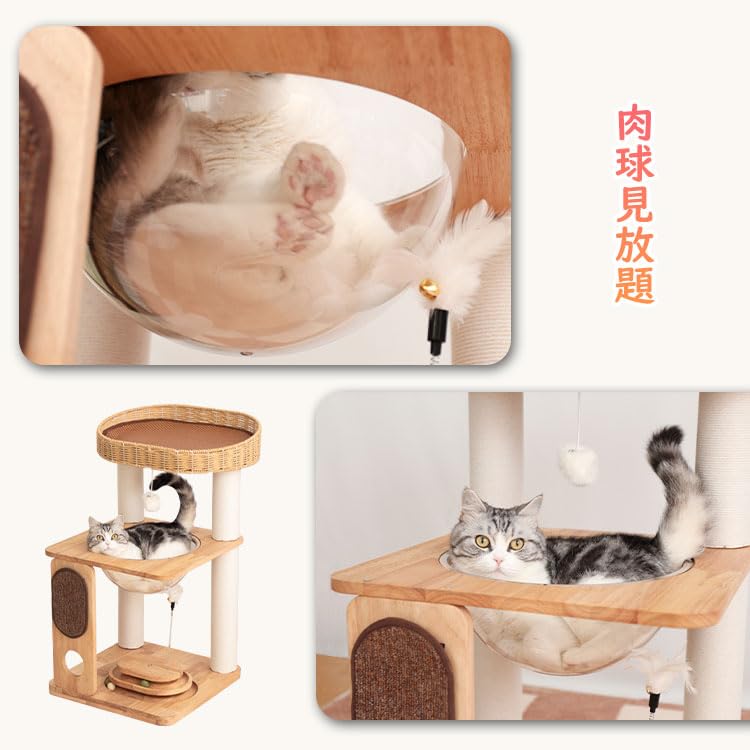 Amazon | PETTIFUL キャットタワー 据え置き おしゃれ 木製 小型 高さ